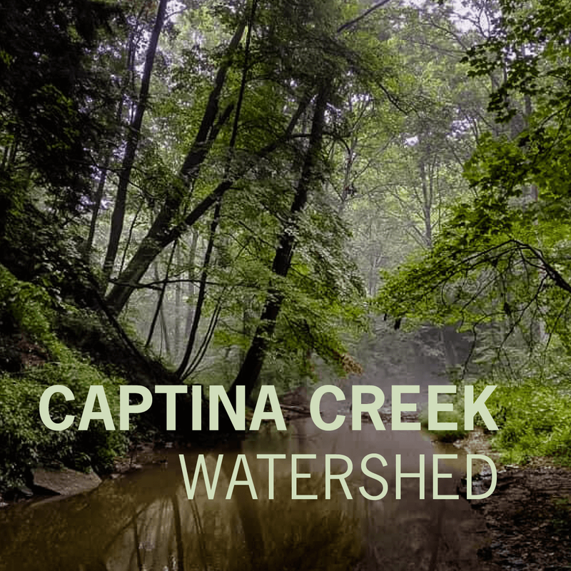 A square image button with text Captina Creek Watershed located in the lower half of the square with a backdrop of a creek with calm waters surrounded by overhanging rich green leaves on large trees