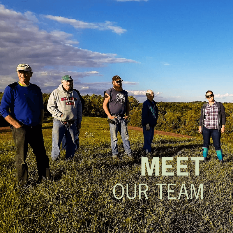 Five people stand in a hilltop field with ankle high grass while facing the camera. Low sunlight shines from the left side of the photo. The light green text “Meet Our Team” is overlaid in the bottom right corner.