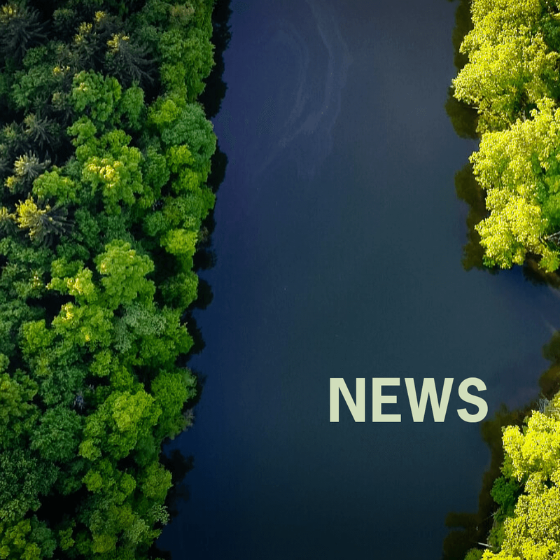 An aerial view of a wide dark blue creek flowing downward surrounded by dense, lush green treetops. A small tributary is flowing into the right side of the main creek. The light green text “News” is overlaid in the bottom right corner.