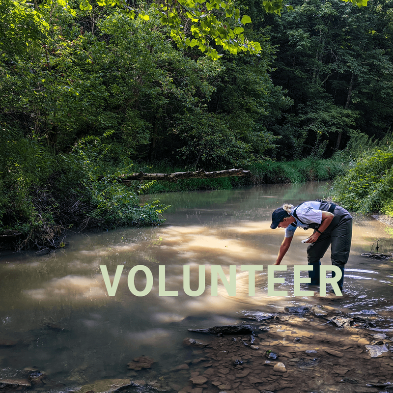 A woman wearing a ball cap, t-shirt, and waders, is standing in a shallow creek in a wooded area. The woman leaning over to take a water sample. The light green text “Volunteer” is overlaid in the bottom right corner.